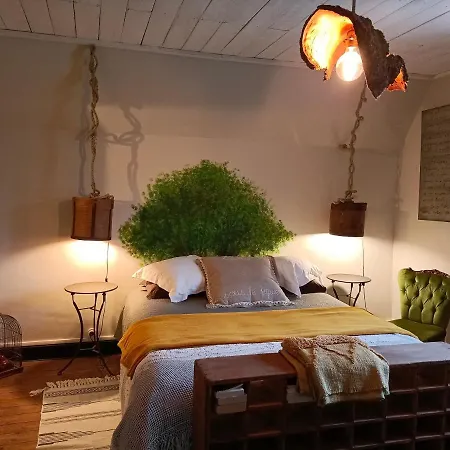 Bed & Breakfast Chateau D'arfeuilles Et Tables D'hotes