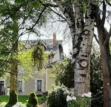 Chateau D'arfeuilles Et Tables D'hotes Arfeuilles